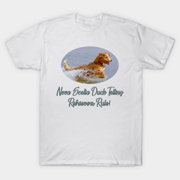 Nova Scotia Duck Tolling Retrievers Rule! T-Shirt by Naves